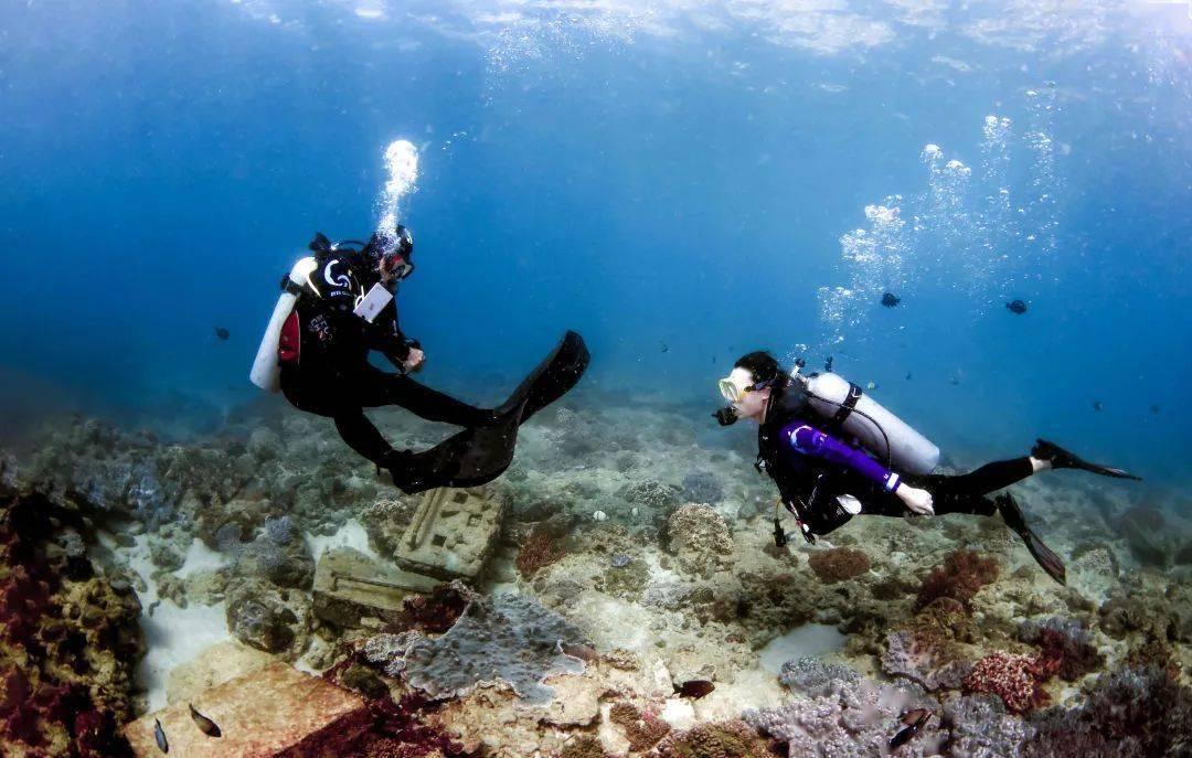 海绵宝宝寻珍宝