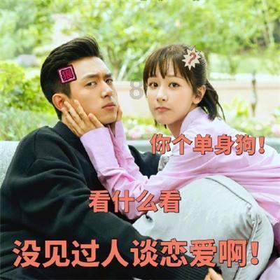 数码宝贝8